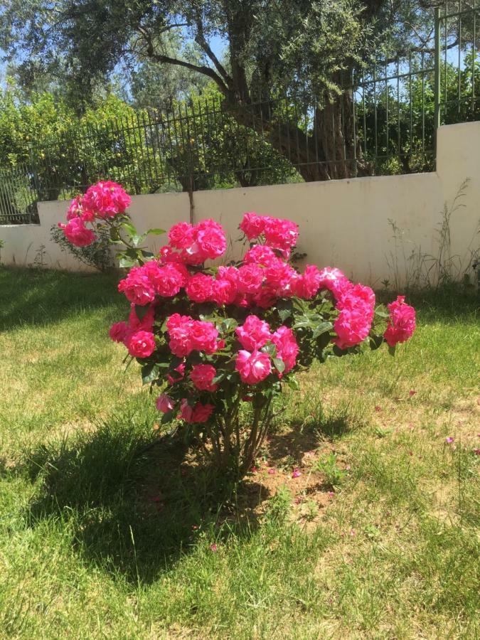 Lovely Appartments Lygia Korinthias Ligia  Exterior foto
